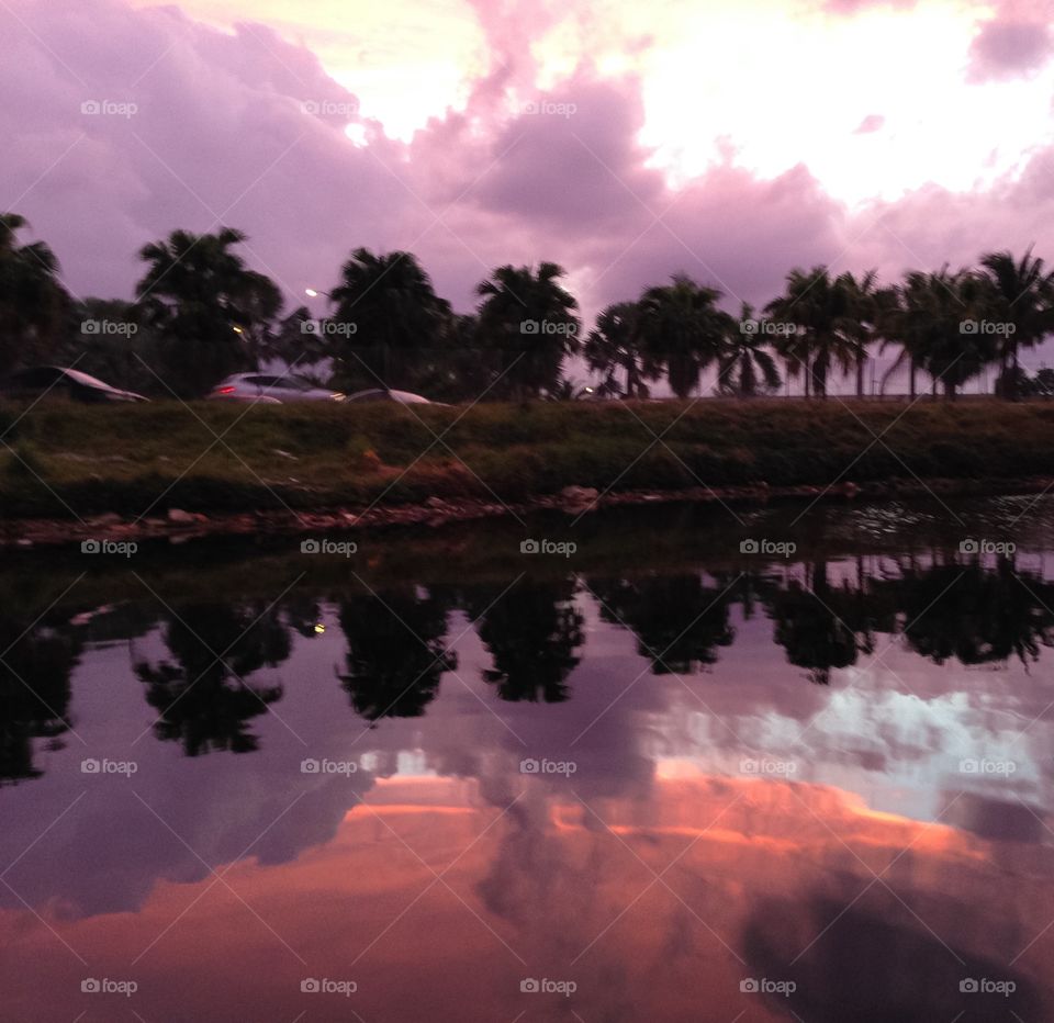 Trees reflecting on the lake