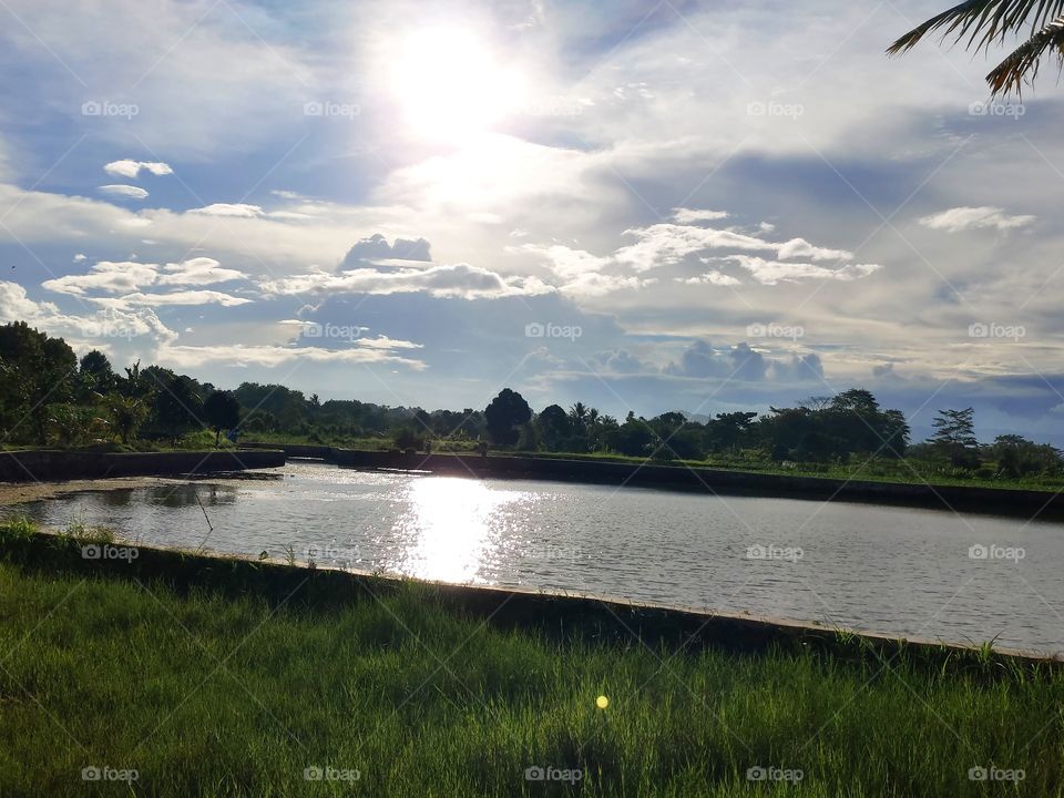 Afternoon sunshine around the lake