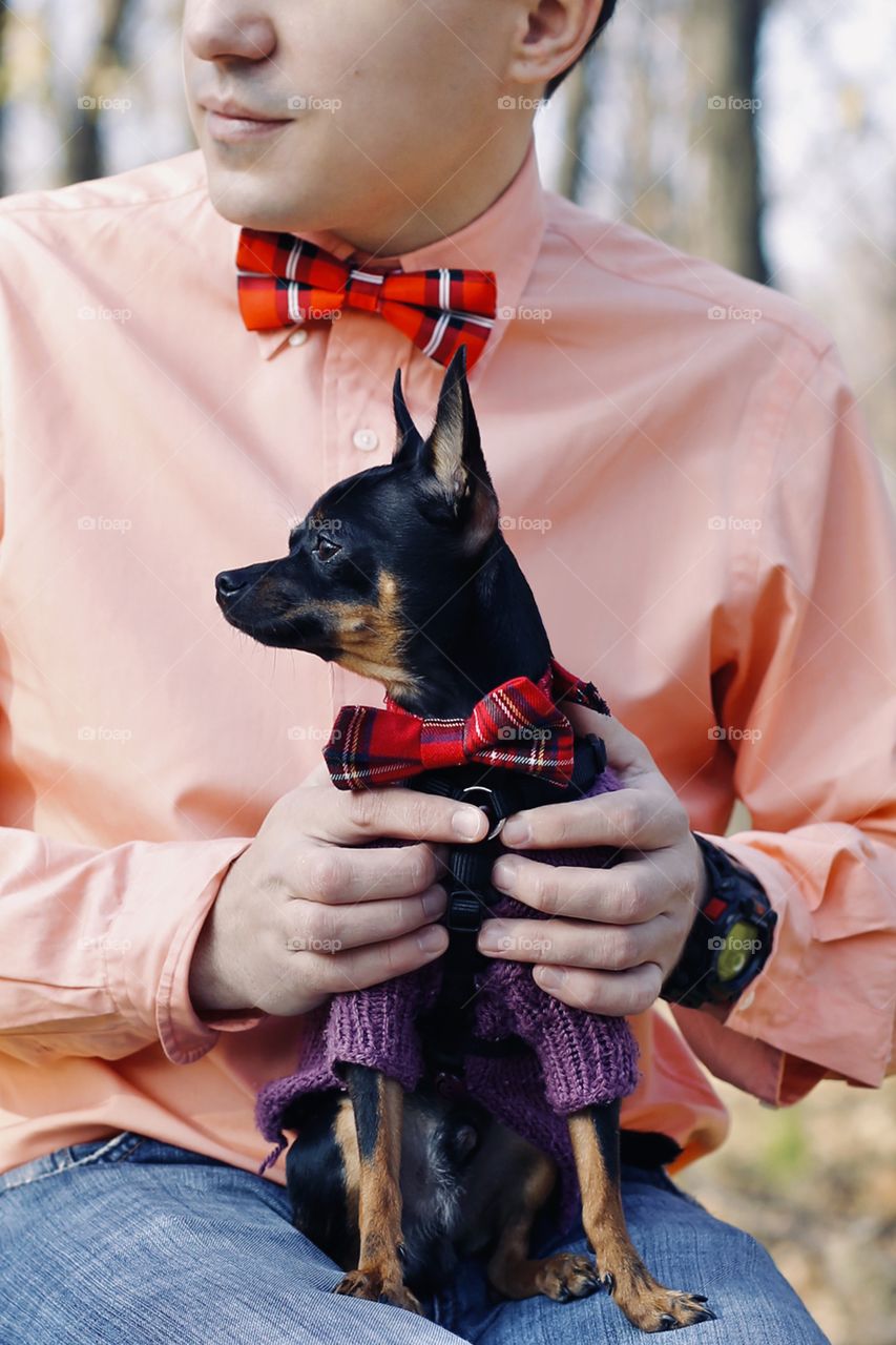 Family look of man and toy terrier with red bow tie 