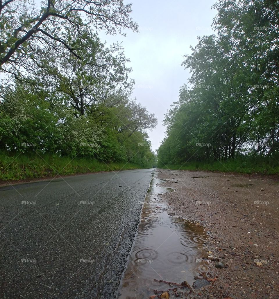 weg Regen rain Pfütze Wasser Straße