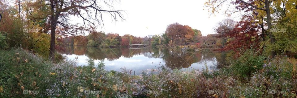 Central Park fall