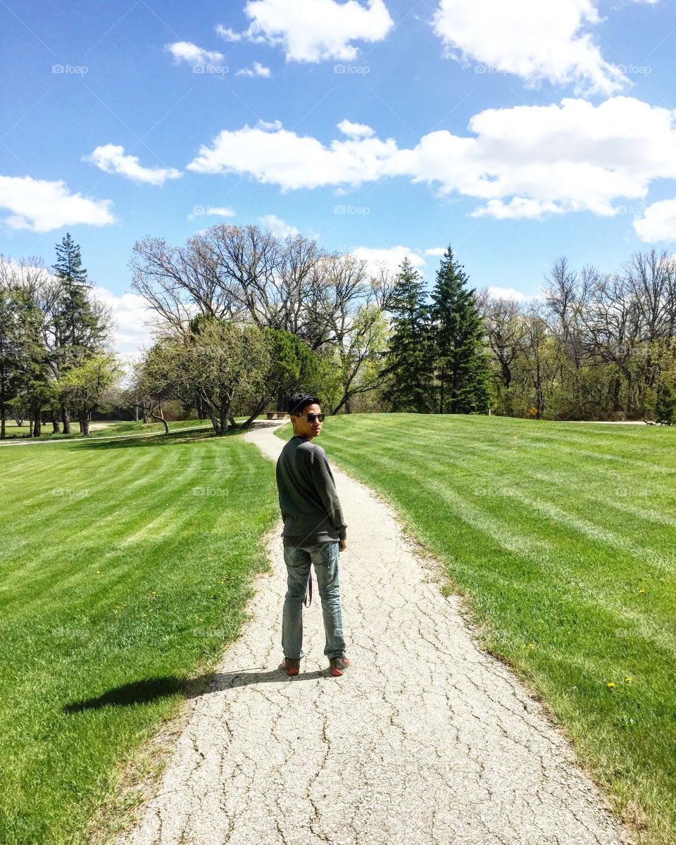 Landscape, Grass, Golf, Tree, Nature