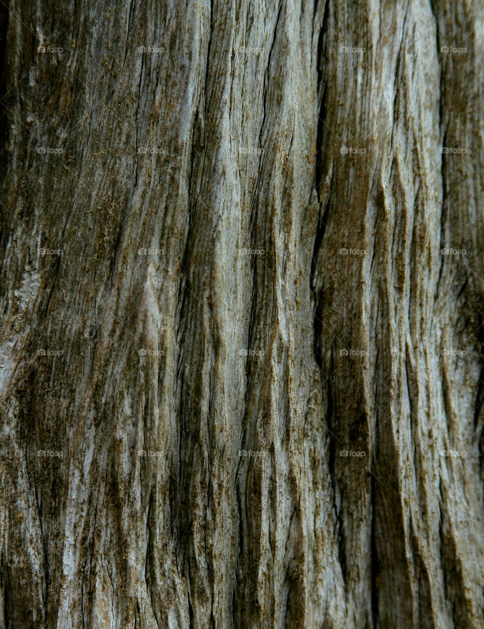 driftwood textures