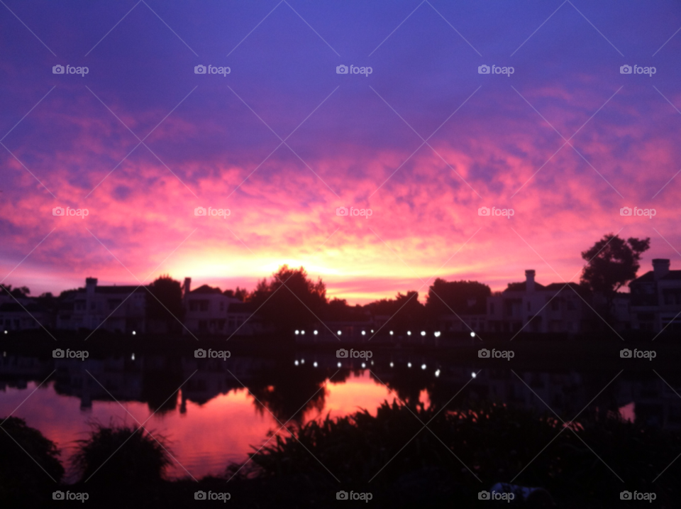 redwood shores california sky pink red by rsvp2robin