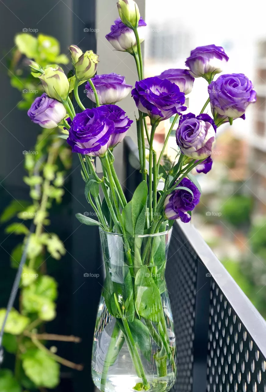 blue flowers