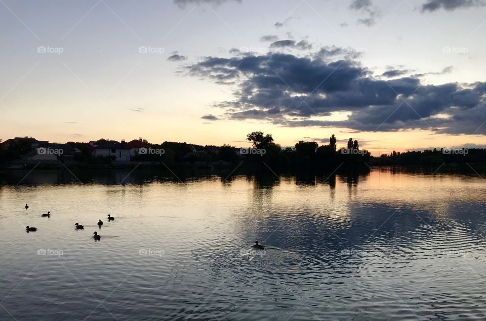 Sunset view on the river with ducks 🦆