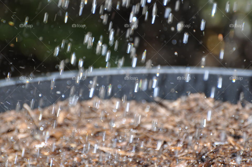 Watering plants