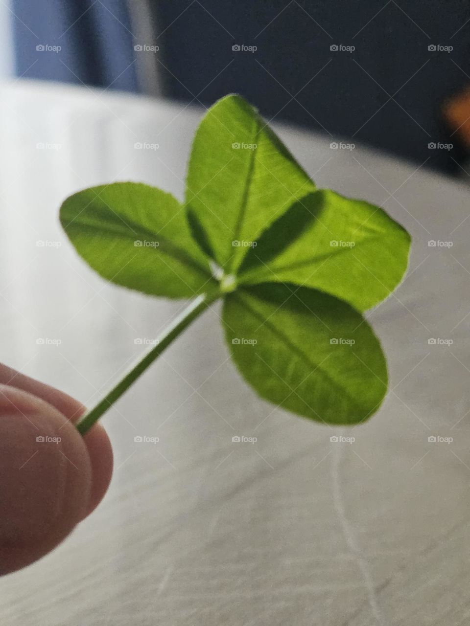 evođenje teksta pomoću kamere


happines is here