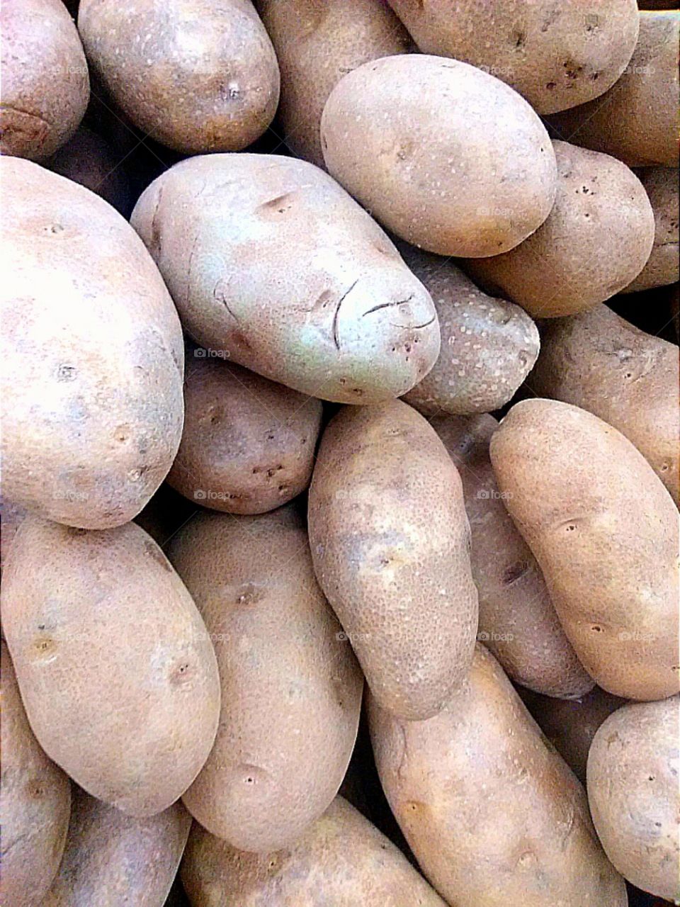 Pile of Brown Russet Potatoes