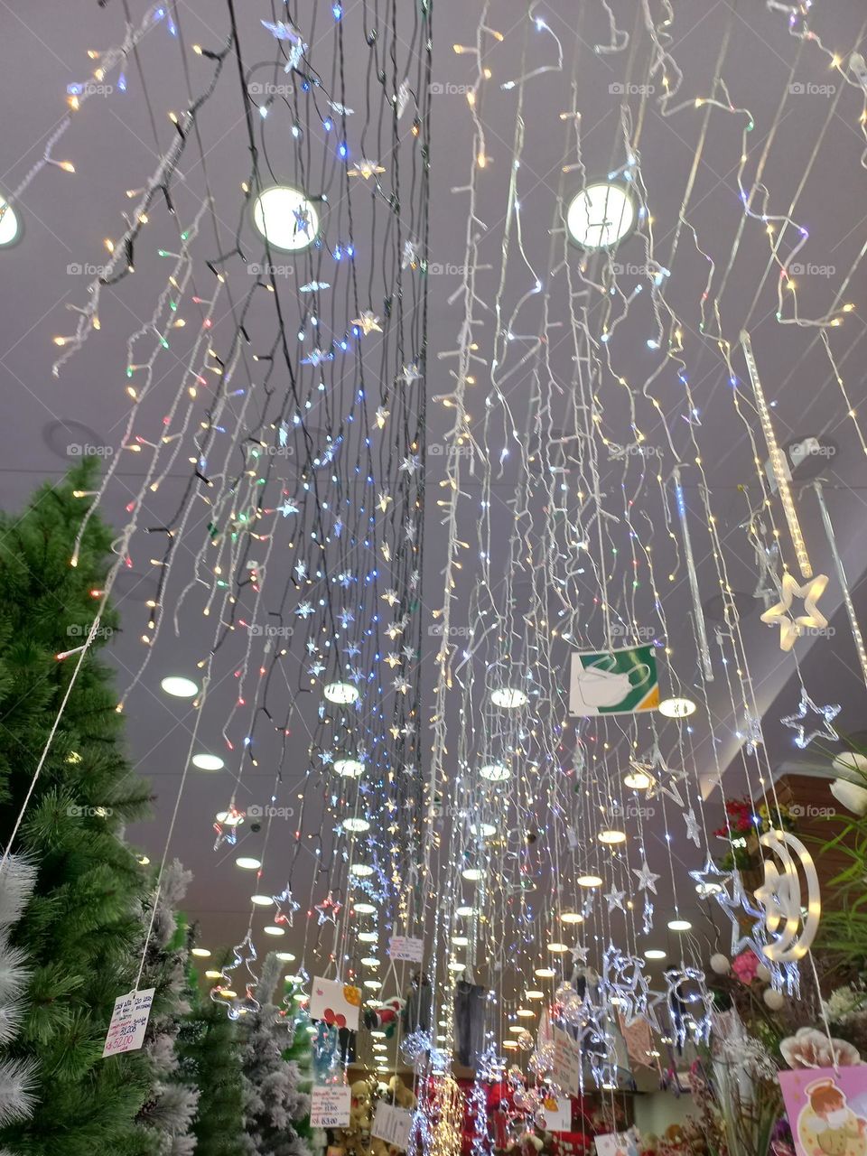 A magia e,  encanto  do Natal