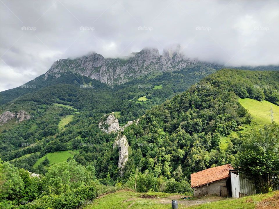 Sun and fog on the mountain