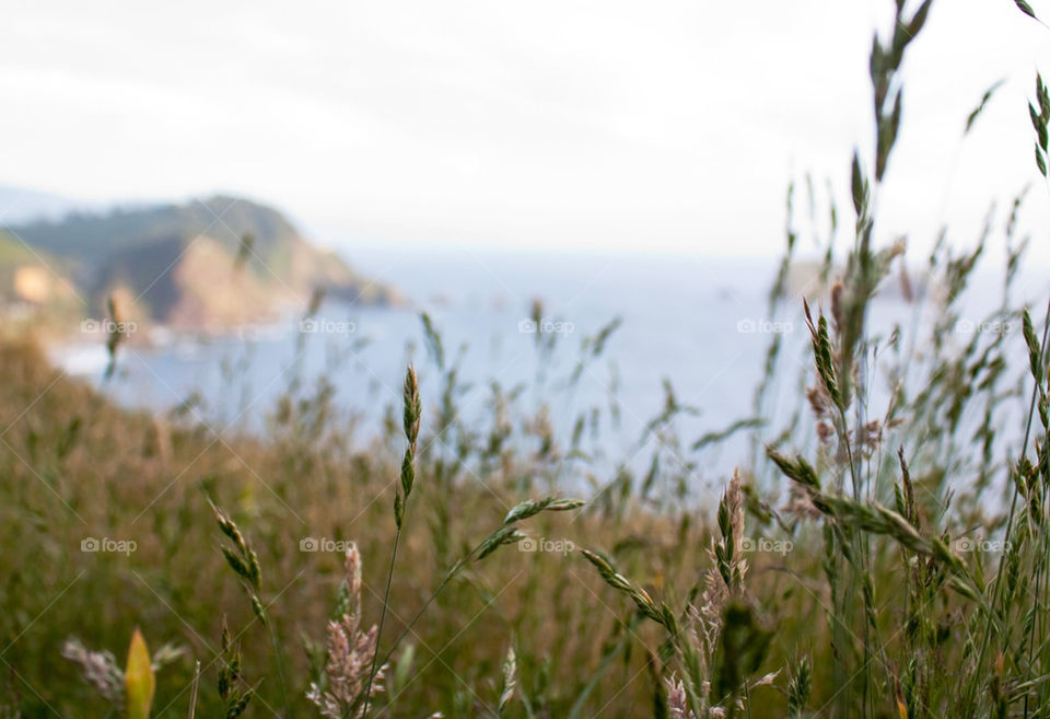 Oregon coast