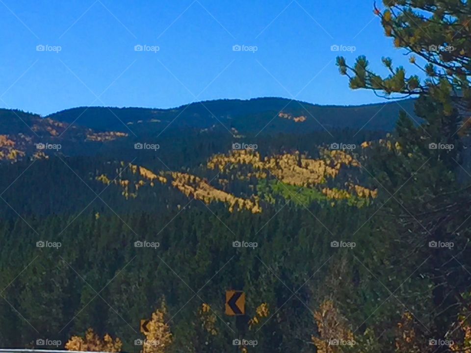 Rocky Mountains during the fall foliage season 