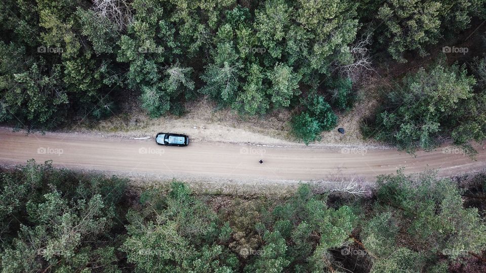 A car in forest
