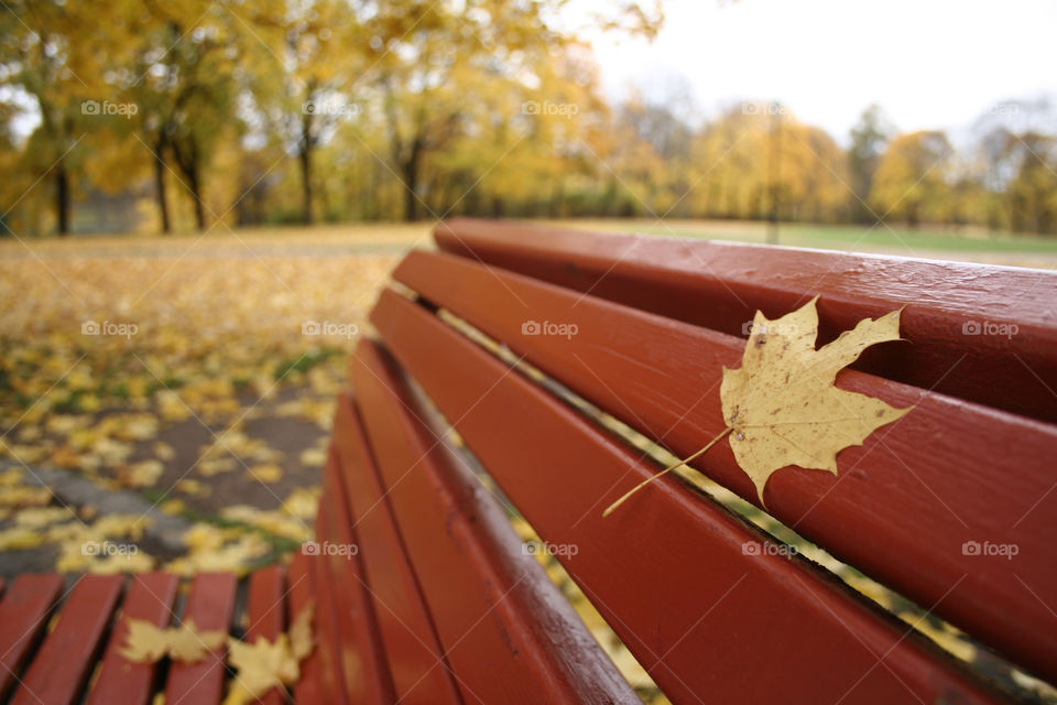 yellow park autumn desk by nader_esk