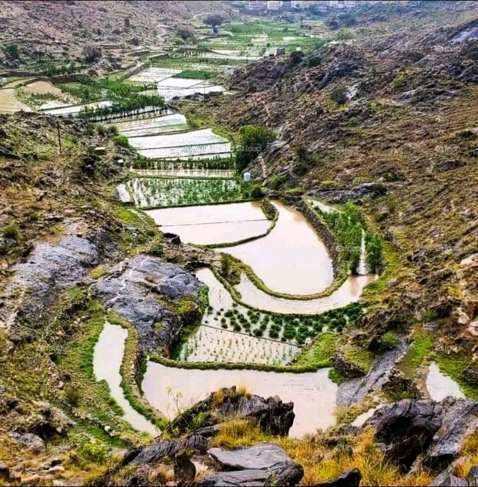 Glory be to God, the magnificent and picturesque view and the natural green trees are a view that is nothing more wonderful than it