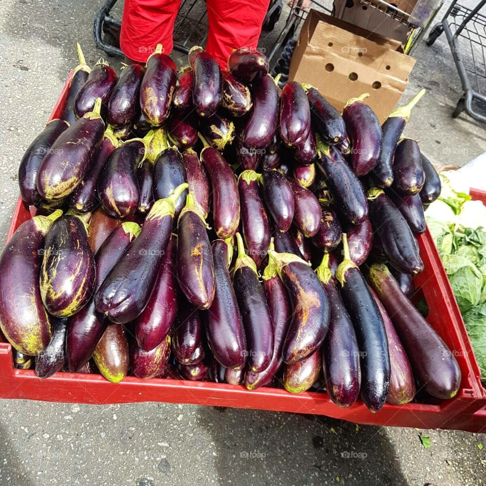 Eggplants