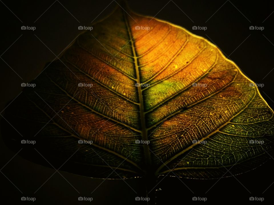 Out of nothing at all