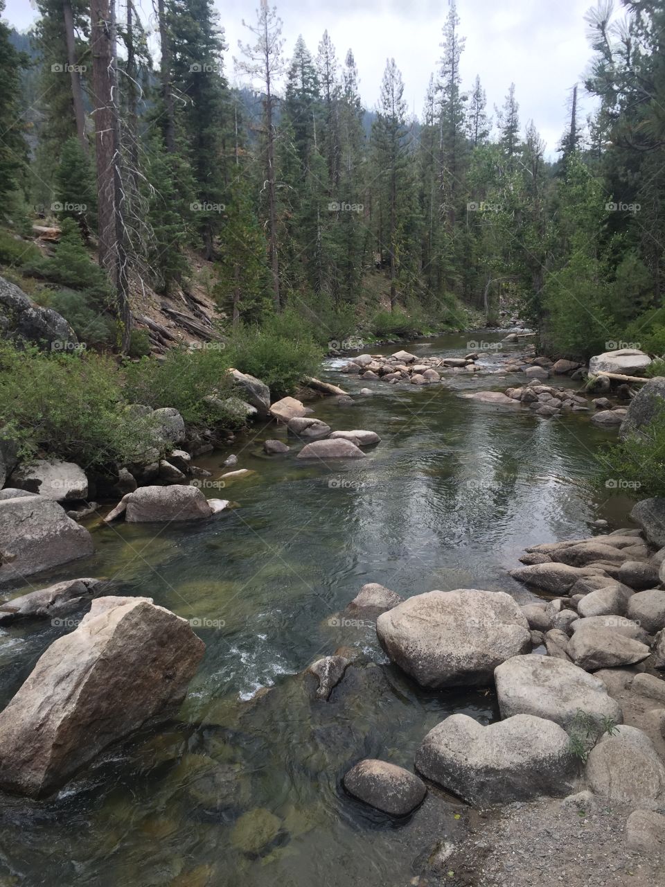Sierra Nevada wild streams.