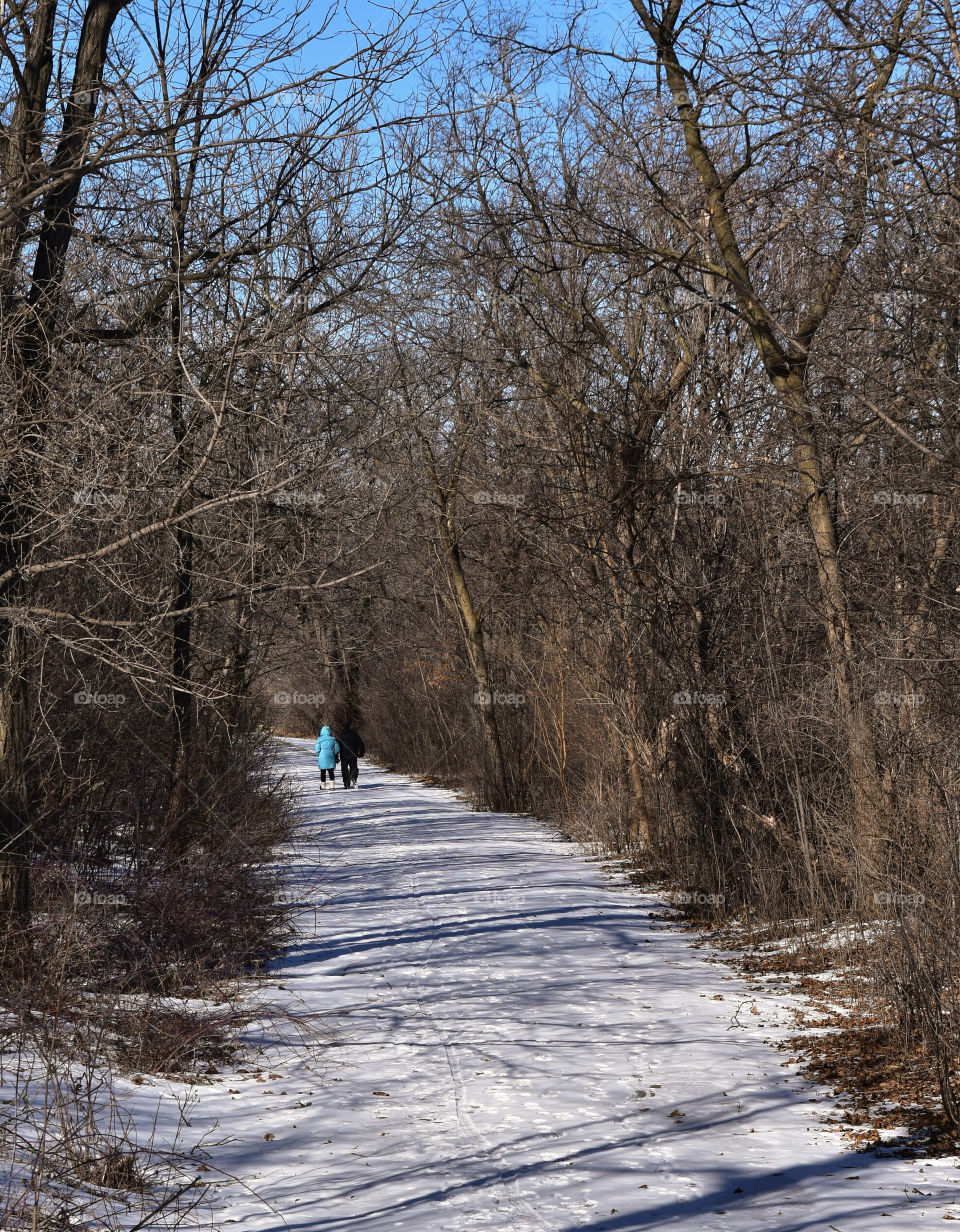 People walking on a snow covered path in bare winter woods