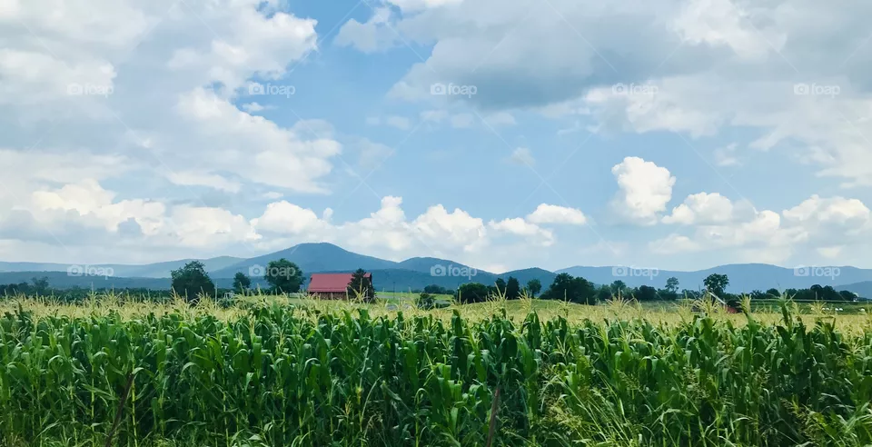 Red barn in the valley 