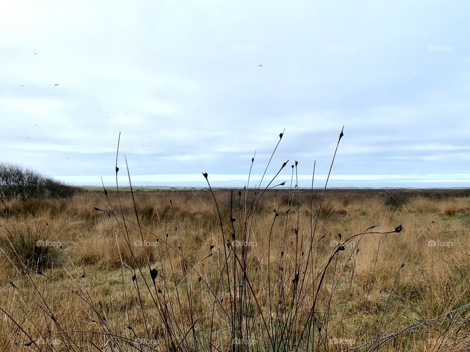  Nature In early spring 