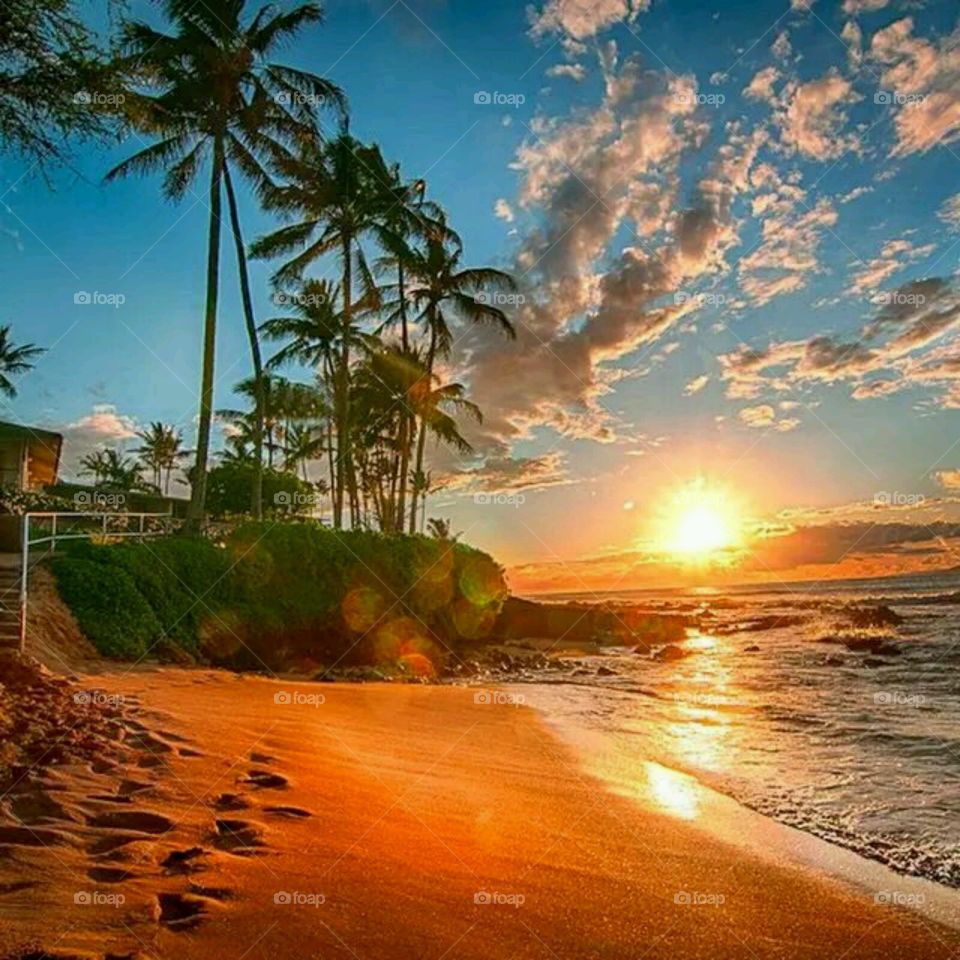 Sunset, Beach, Sun, Tropical, Sand