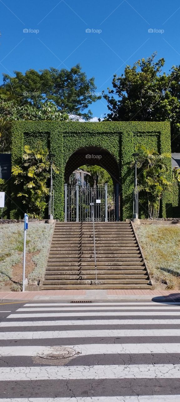 urban nature botanic