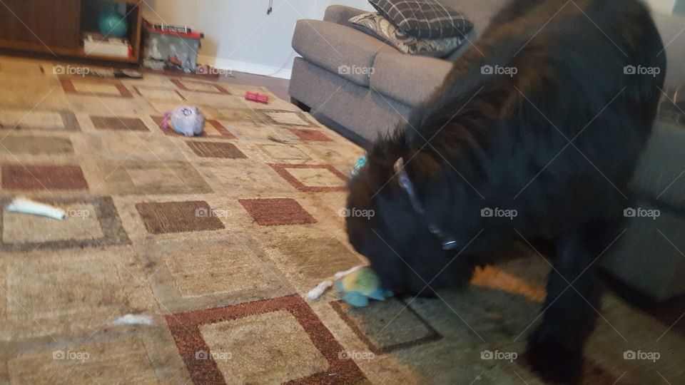 People, Mammal, No Person, One, Offense