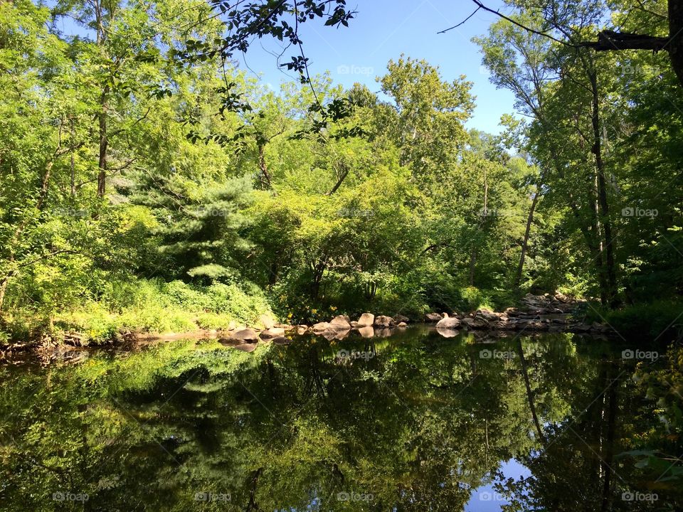 Pennypack Creek reflections 