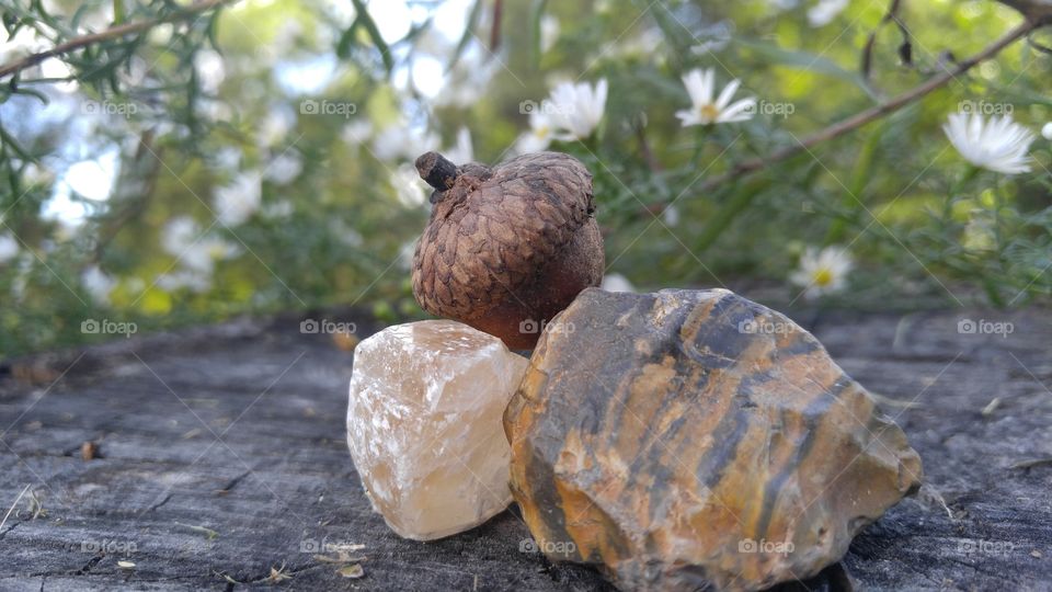 Natural Quartz Crystal and Acorns