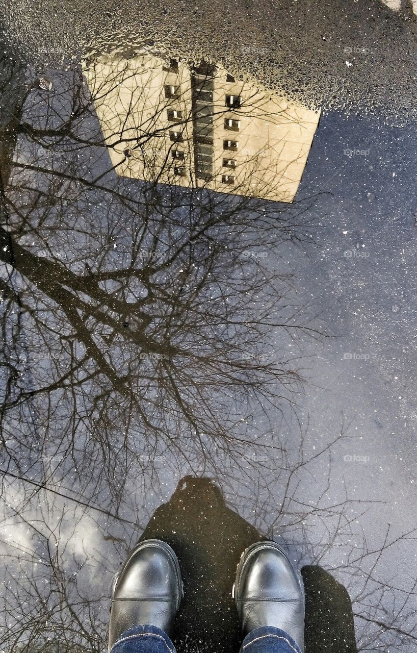 Winter, Snow, Cold, Street, Frost