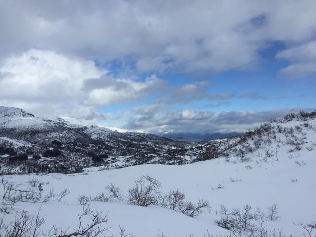 Winterscenery