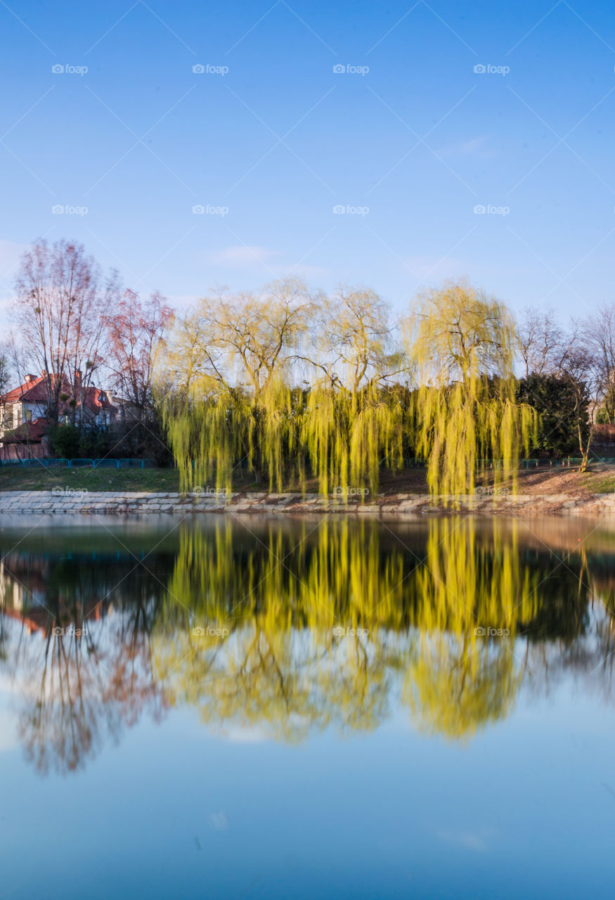 city park with lake in the spring season