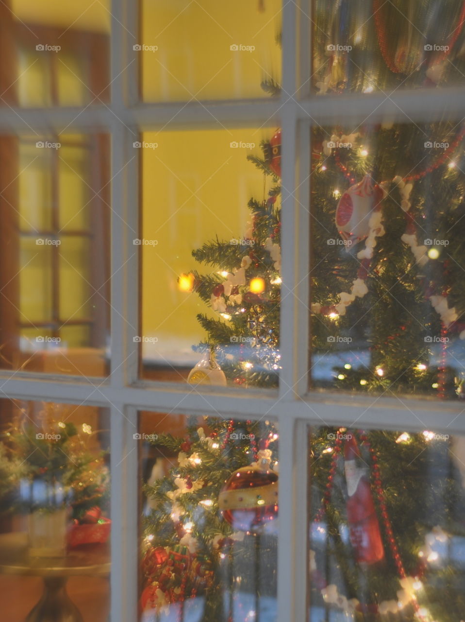 Christmas Tree Through Window