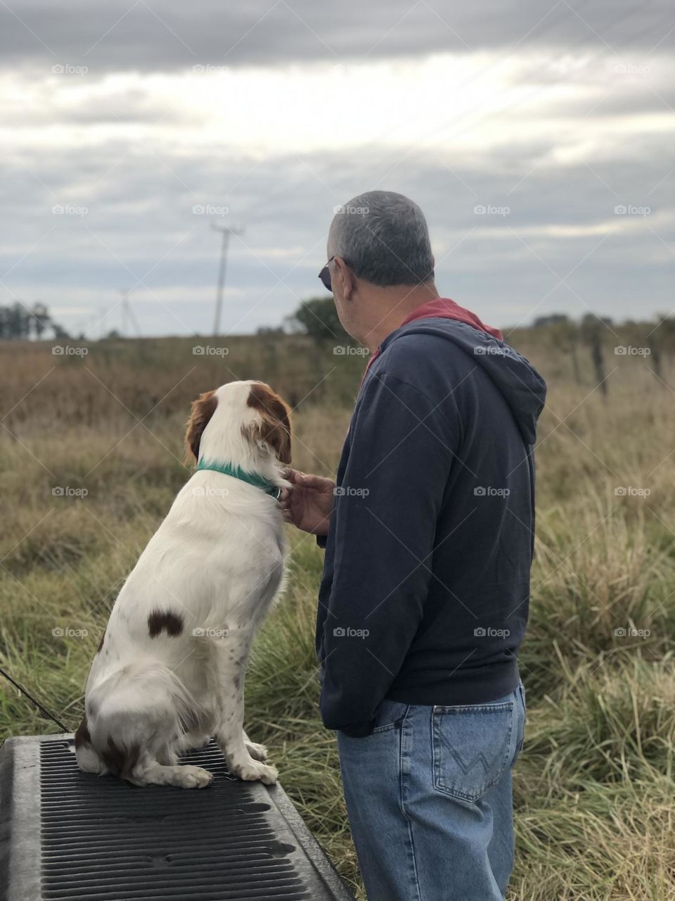 Mascotas Amistad Incondicional Perro Fidelidad