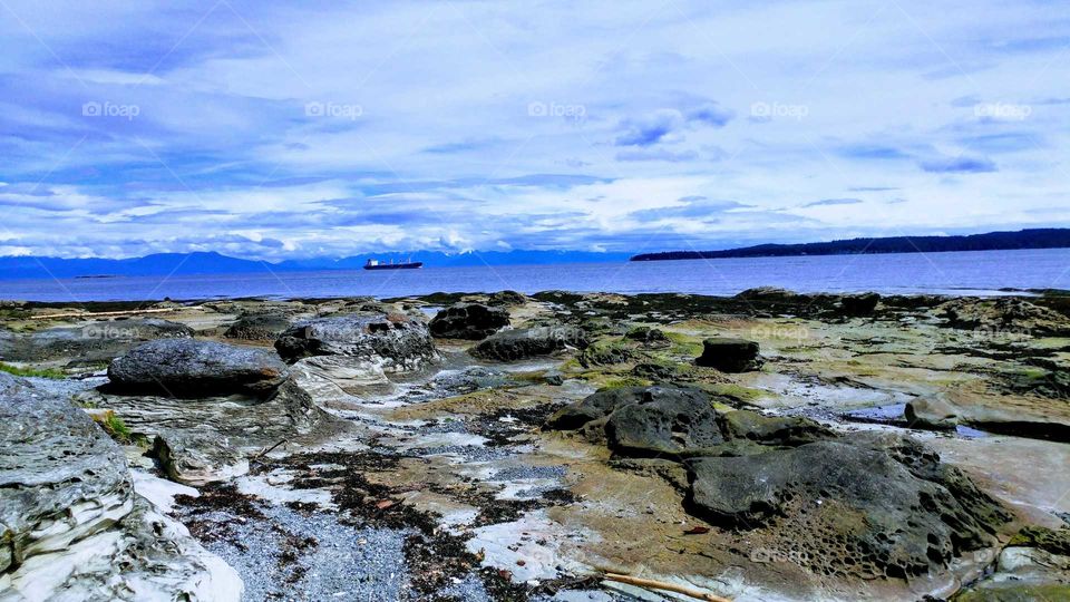 Sandstone Newcastle Island BC Canada