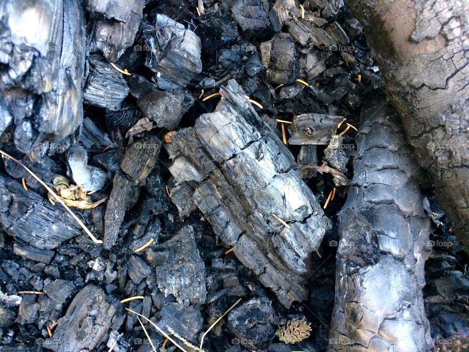 Charcoal remnants after a fire
