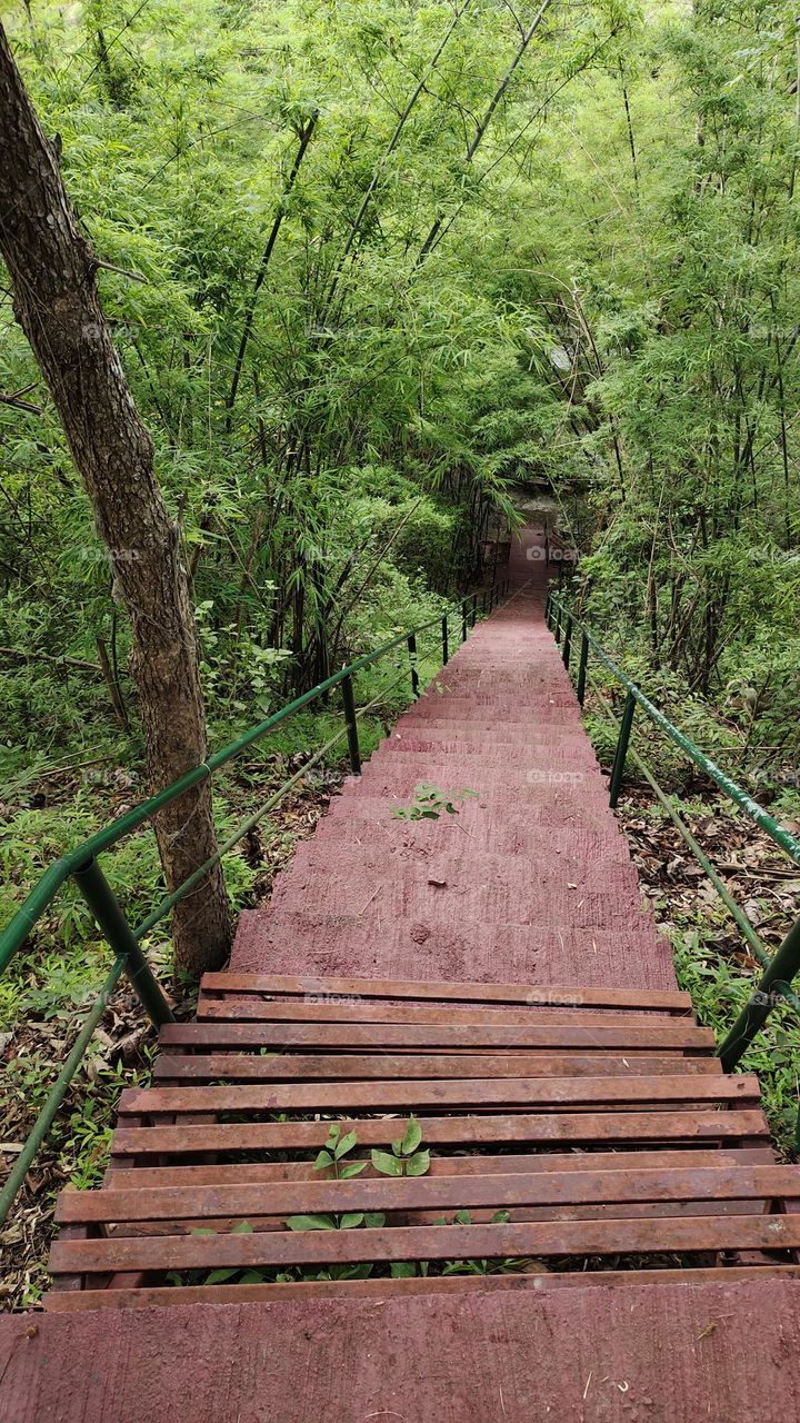Morning Running Time with up and down stairs in the middle of green environment