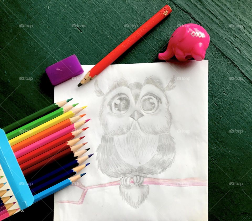 Painted Owl