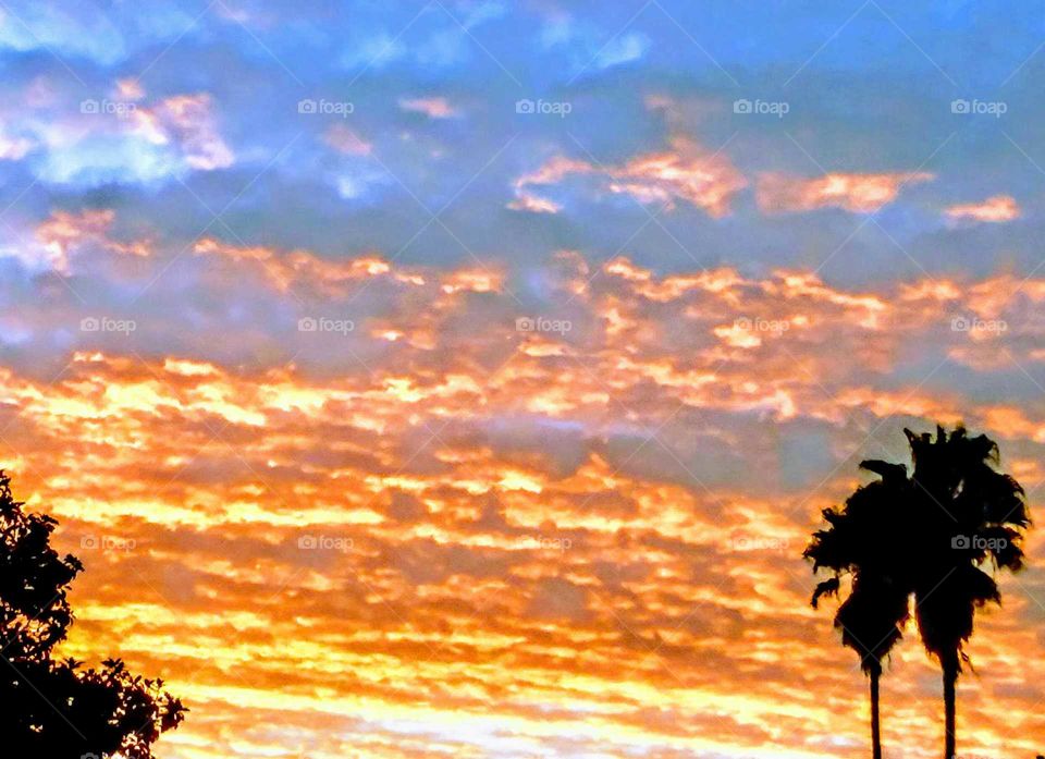 Sunset Silhouette w Trees (stylized)