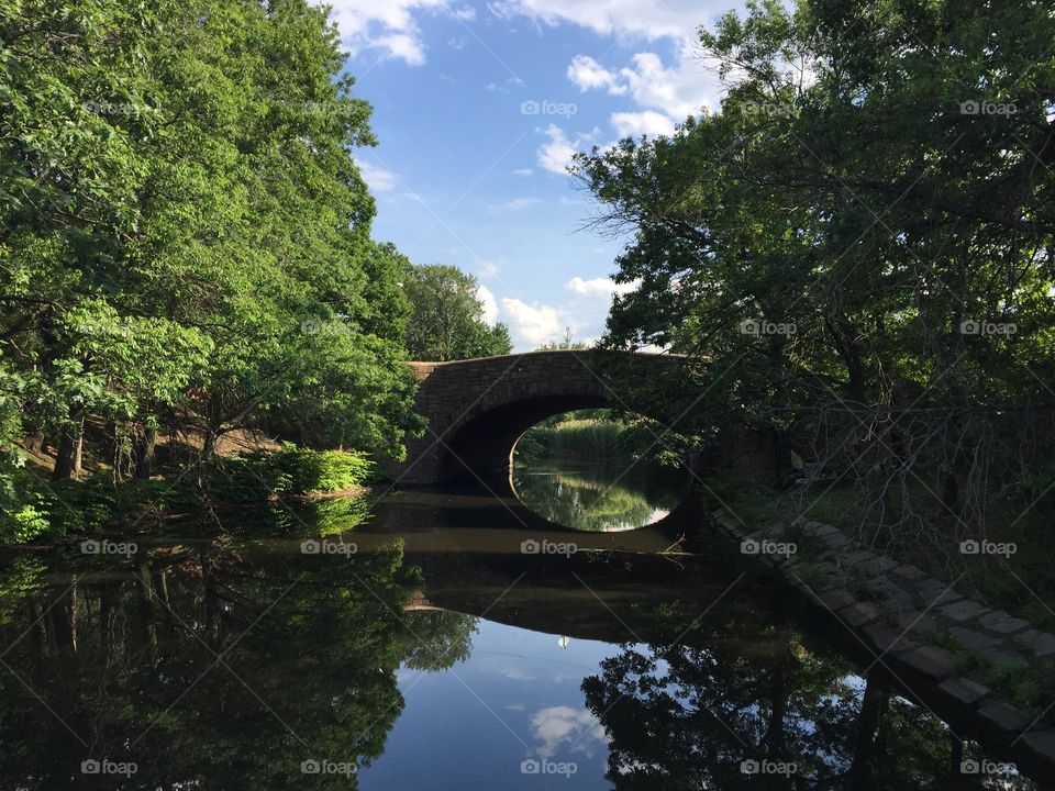 Water, Tree, River, Landscape, Wood