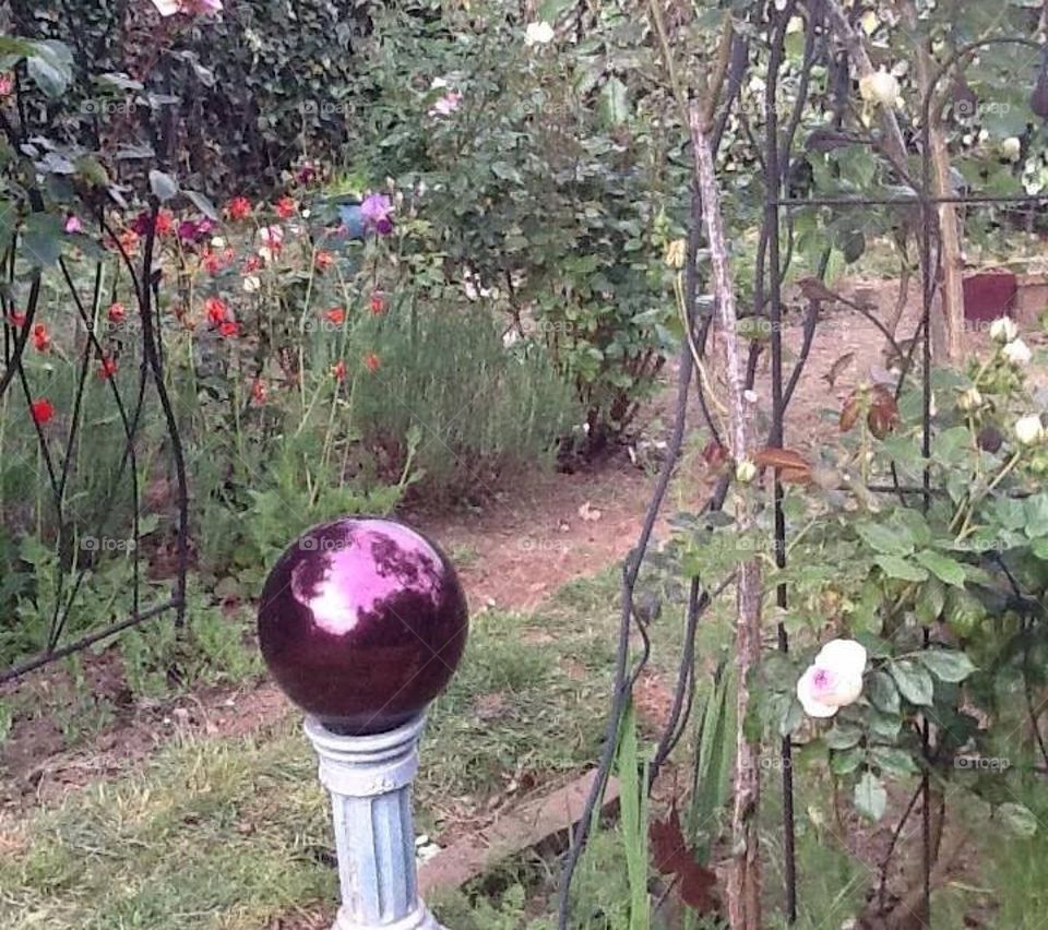 Garden globe