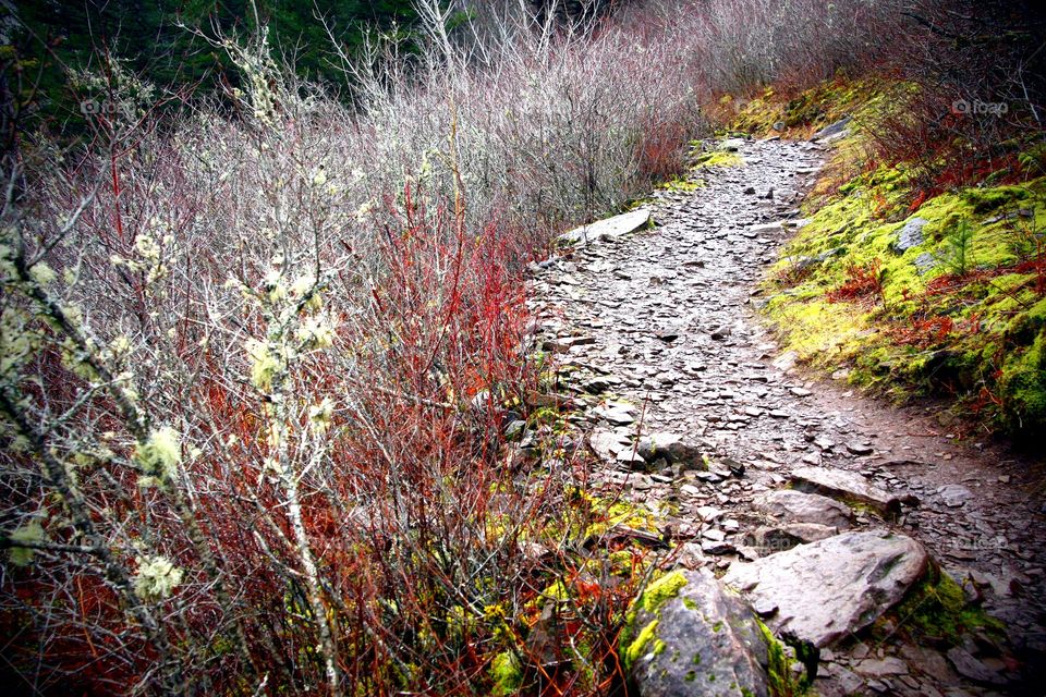 winter trail colors