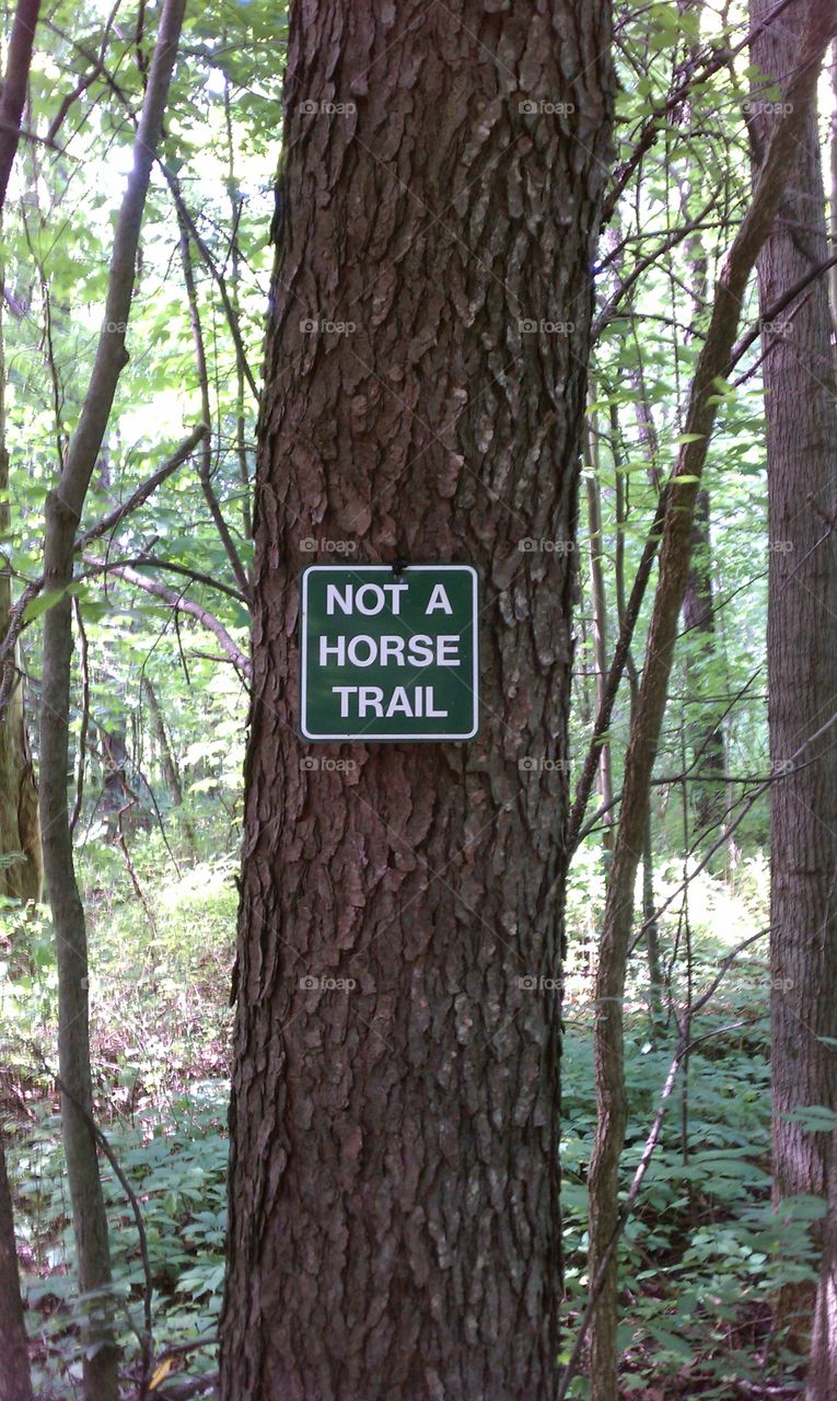 I guess it isn't a horse trail.