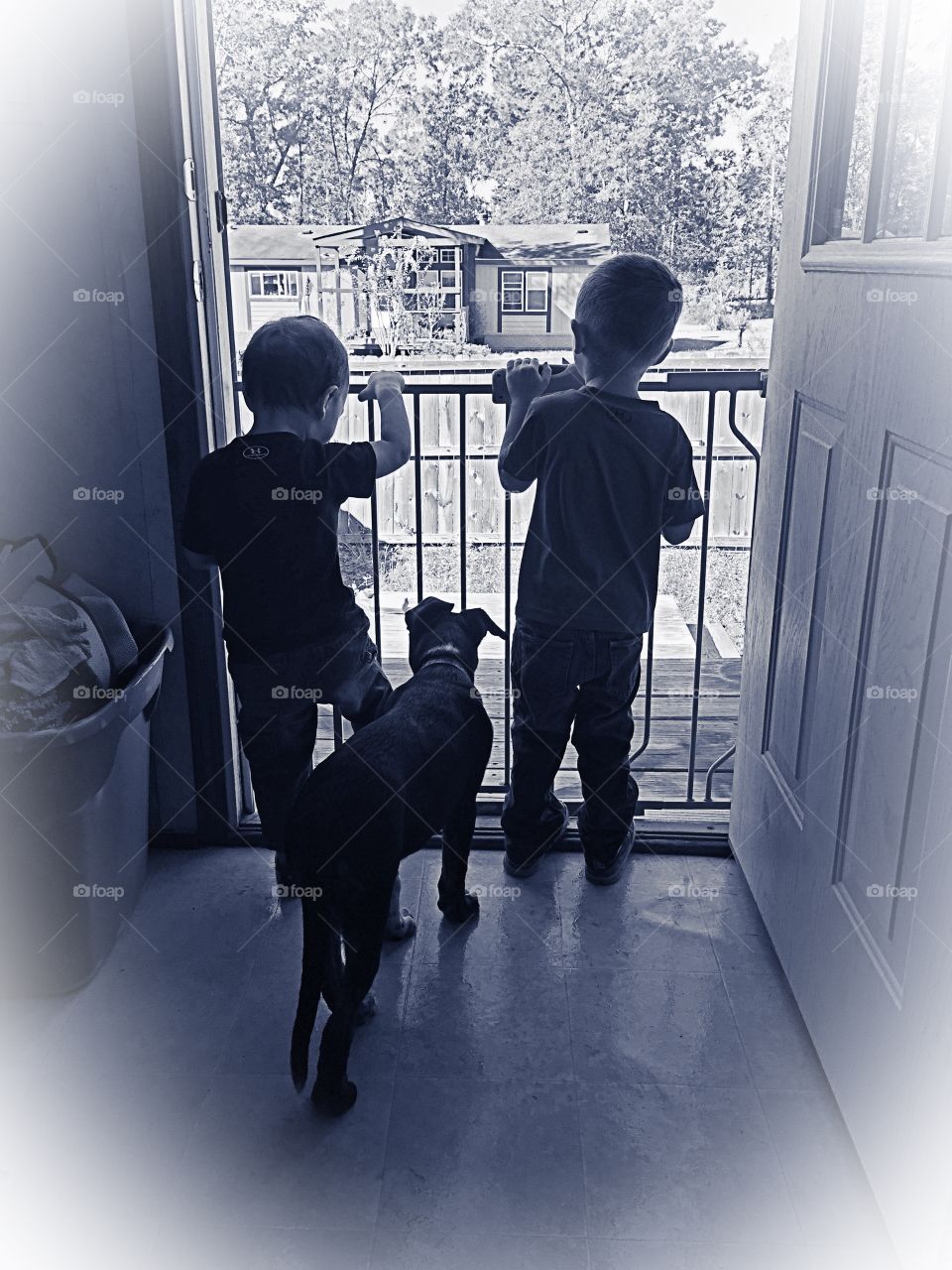 Rear view of two children's with dog looking through balcony