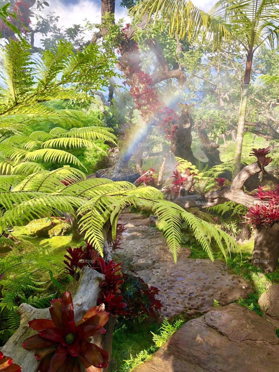 Natural Rainbow in the greenish garden