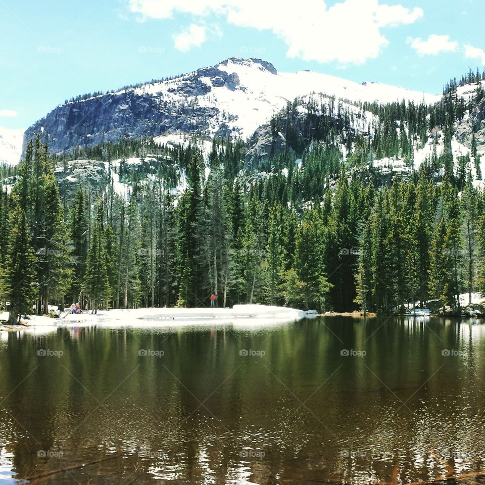 Nymph Lake. Rocky Mountain National Park
