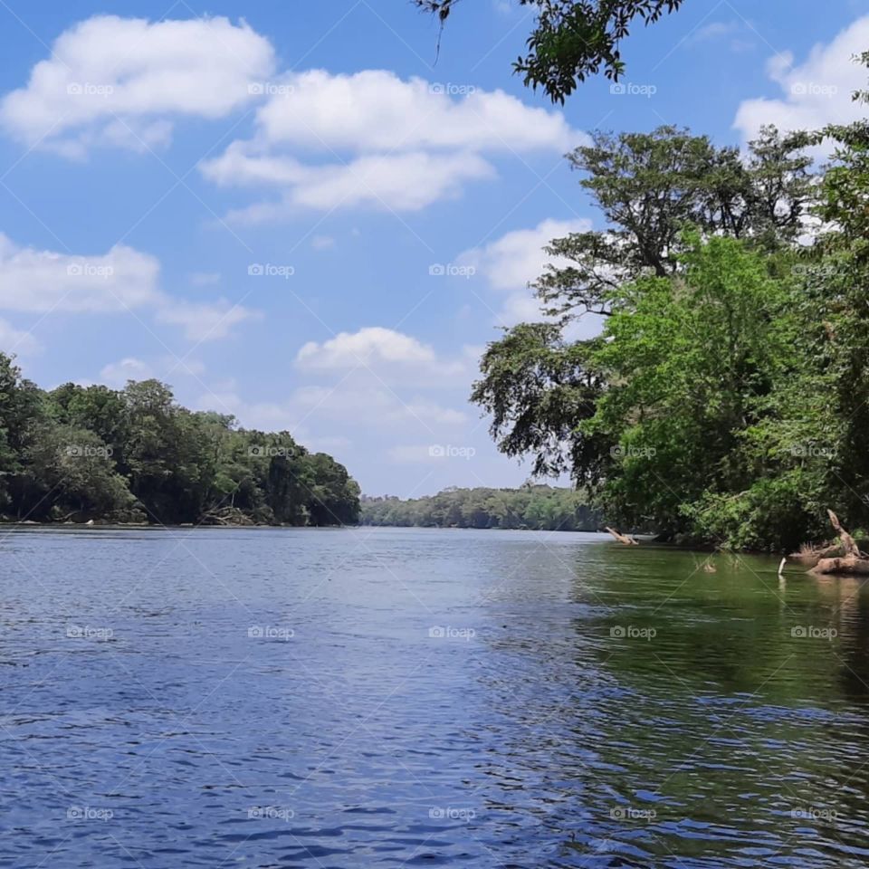 nature in sri lanka in river 