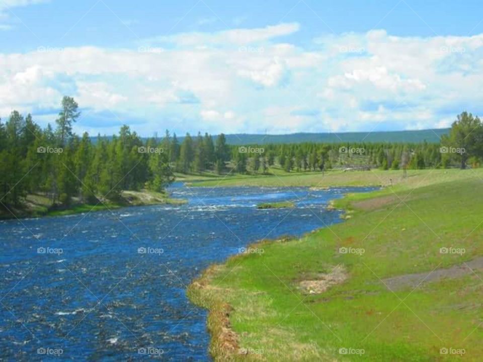 A river in Yellowstone